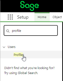 Screenshot: open Profiles in Setup